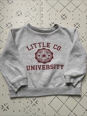 Little Co pullover